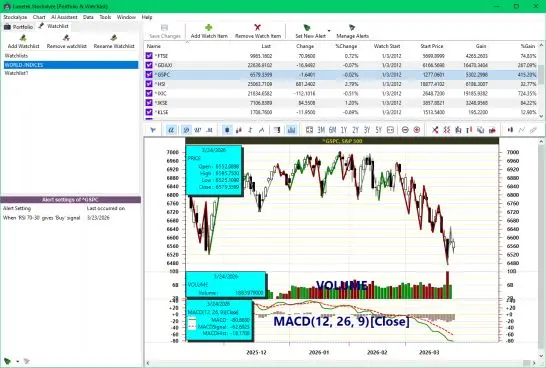 Portfolio and Watchlist Screenshot